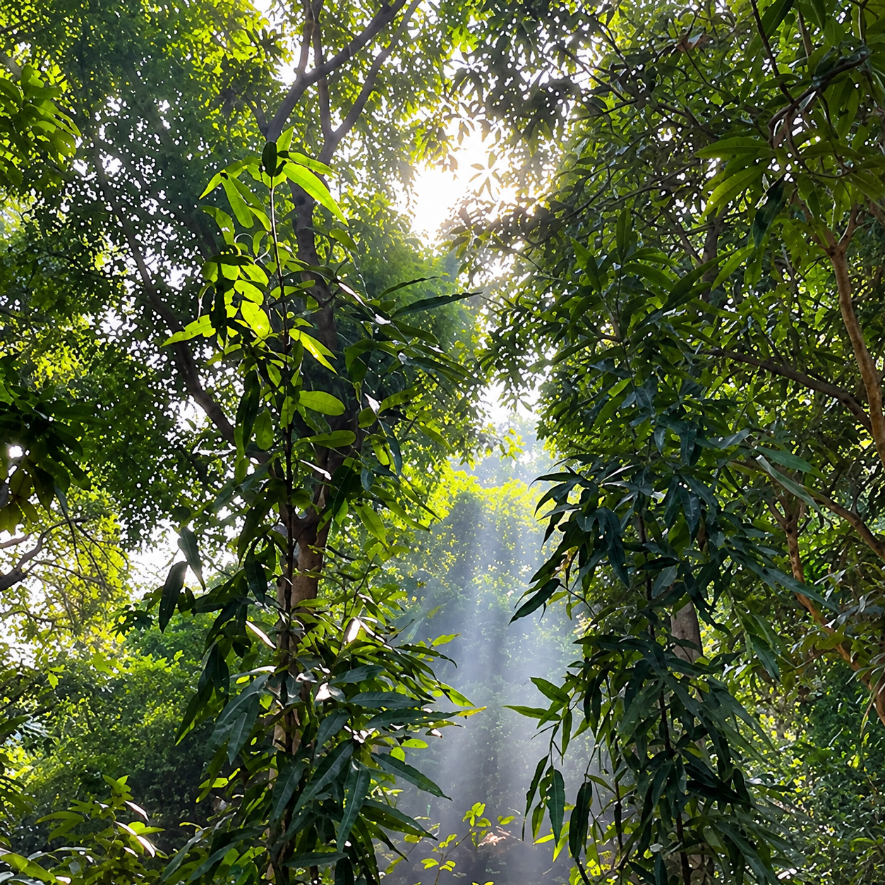 Dhaltangarh Eco Tourism Centre – Gopalpur