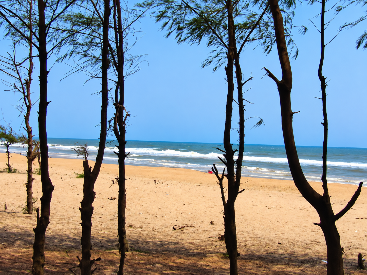 Paradeep Sea Beach